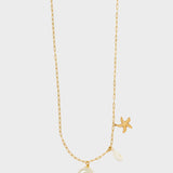 EMCL1187-2