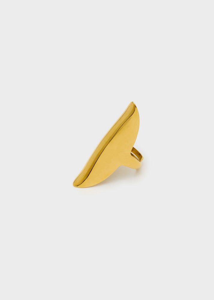 DWAN0271-2