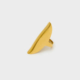 DWAN0271-2