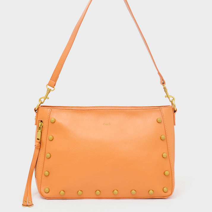 NABS0031-1