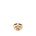 EMAN0214-1