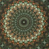 BOSC0164-3