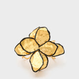 EMBR0375-2