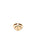 EMAN0211-1