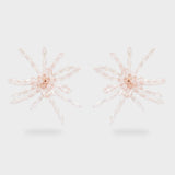 ABOR0180-1