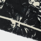 LASC0299-3