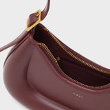 AGBS0249-4